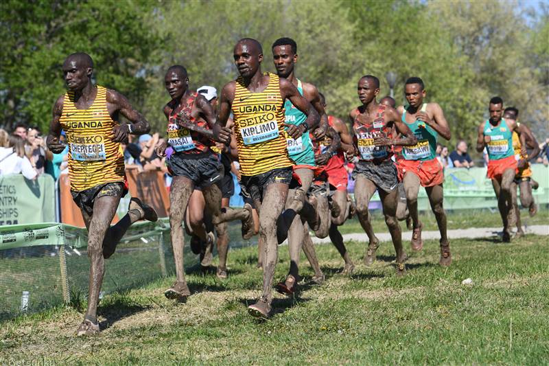 世界クロカン選手権は奇数年開催に変更 25年世界ロードランニング選手権ハーフは9月28日午前6時30分スタート